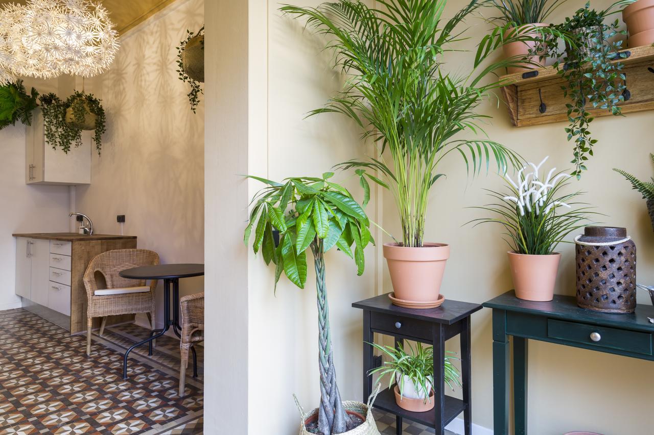 Hotel Casa Maca Barcelona (Adults Only) Exterior foto